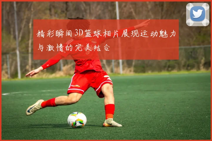 精彩瞬间3D篮球相片展现运动魅力与激情的完美结合