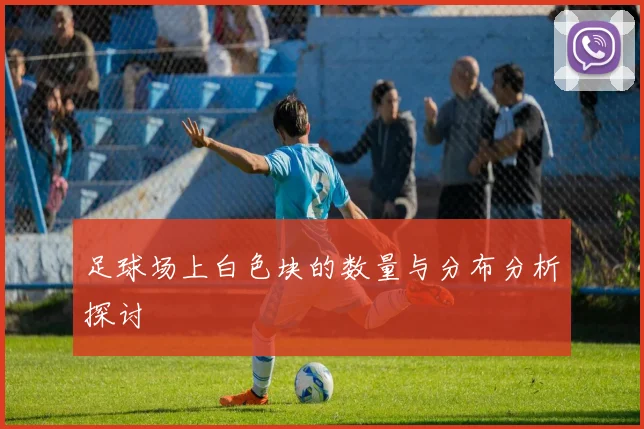 足球场上白色块的数量与分布分析探讨