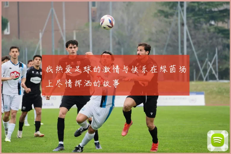 我热爱足球的激情与快乐在绿茵场上尽情挥洒的故事