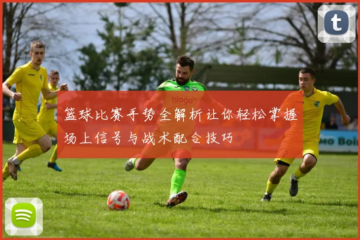 篮球比赛手势全解析让你轻松掌握场上信号与战术配合技巧