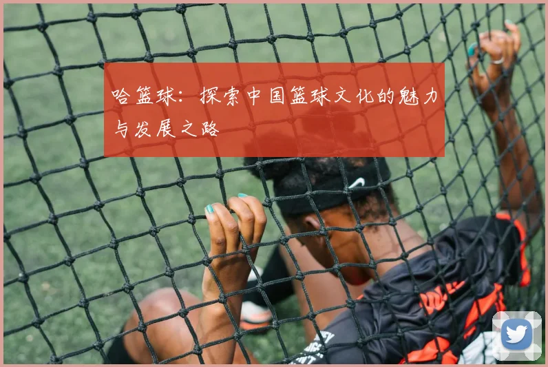 哈篮球：探索中国篮球文化的魅力与发展之路
