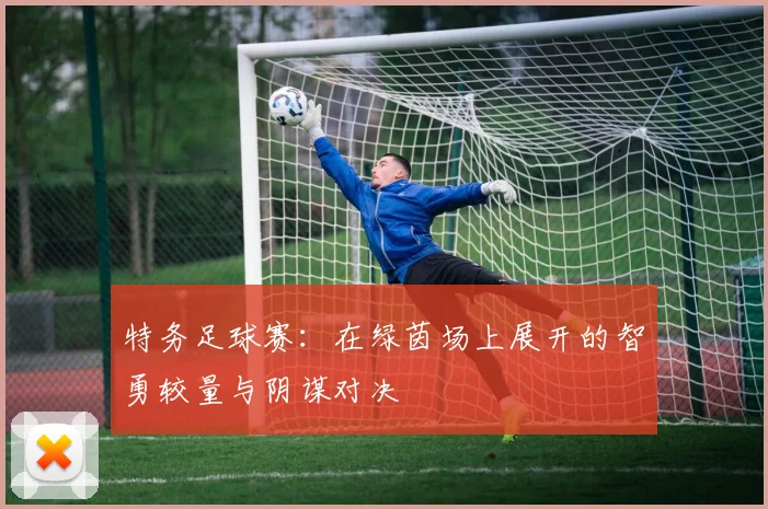 特务足球赛：在绿茵场上展开的智勇较量与阴谋对决