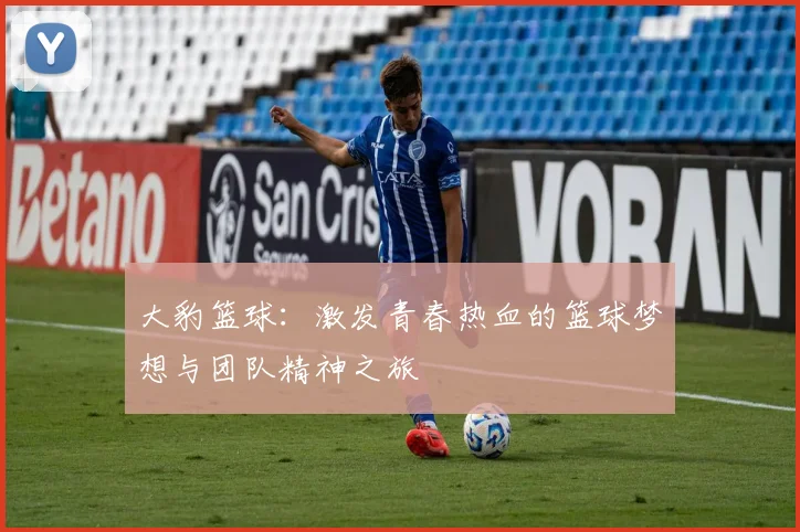 大豹篮球：激发青春热血的篮球梦想与团队精神之旅