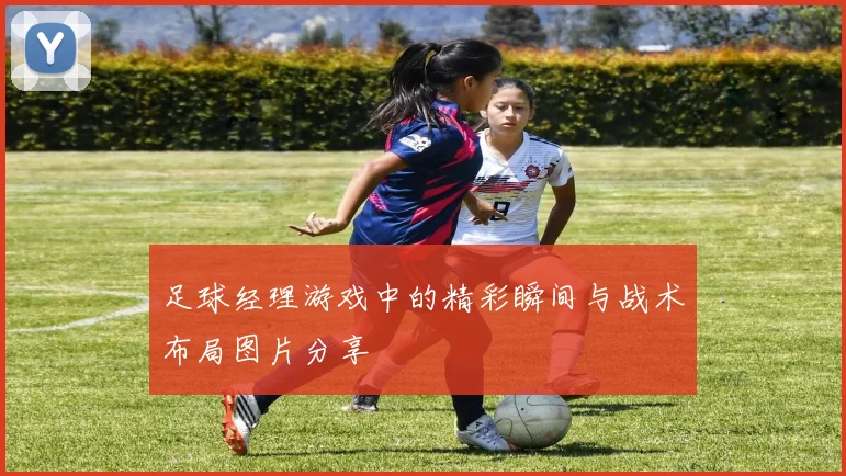 足球经理游戏中的精彩瞬间与战术布局图片分享