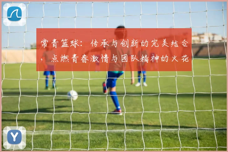常青篮球：传承与创新的完美结合，点燃青春激情与团队精神的火花