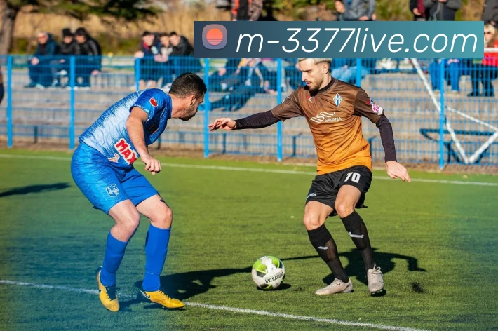 3377体育官方网站平台生态图